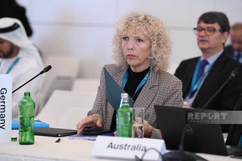 Cennifer Morqan: İqlim maliyyəsi Almaniya üçün prioritetdir