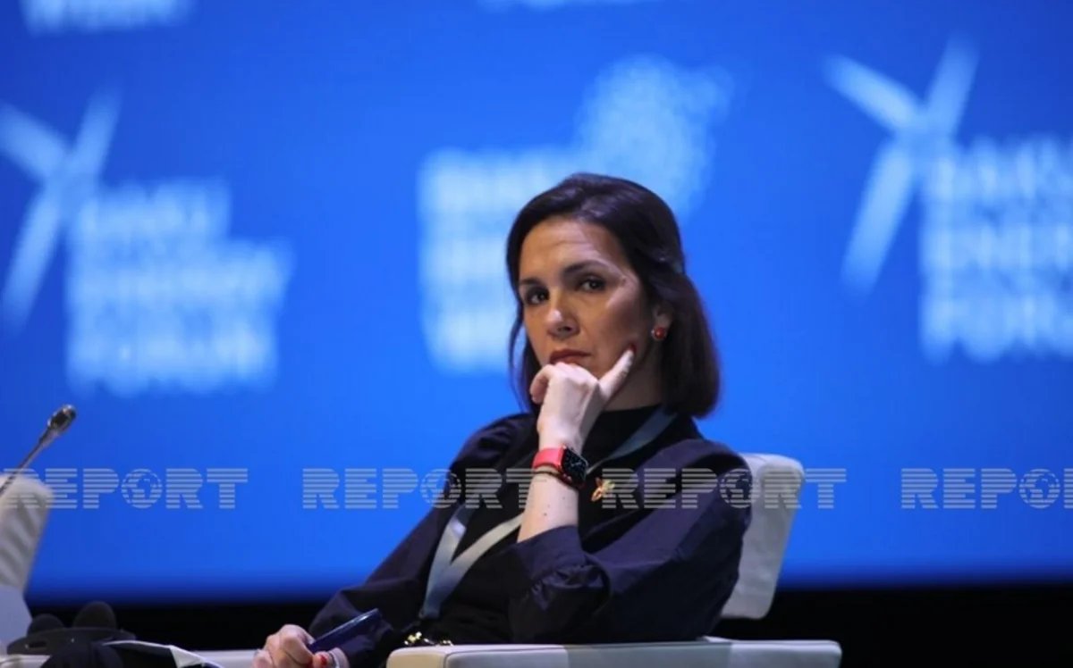 Avropa rəsmisi: Azərbaycan qazının tədarükünü genişləndirmək üçün infrastruktur inkişaf etdirilir”