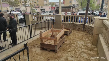 В Баку обнаружены незаконные пункты забоя скота