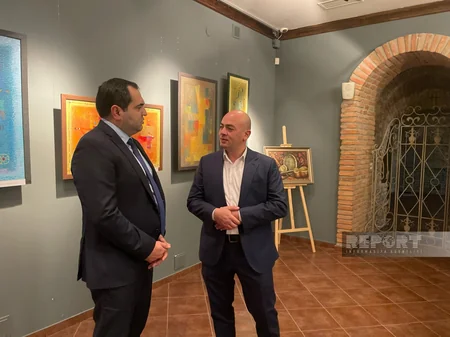 Tbilisidə Dünya Azərbaycanlılarının Həmrəyliyi Gününə həsr olunmuş sərgi açılıb