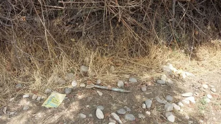 ​Gəncədə 7 ədəd tank əleyhinə mina aşkar olunub