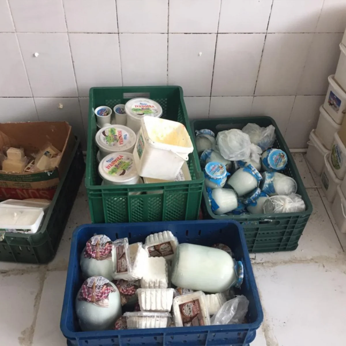 Bakıda istehlaka yararsız süd məhsullarının istehsalı müəssisəsi aşkarlanıb