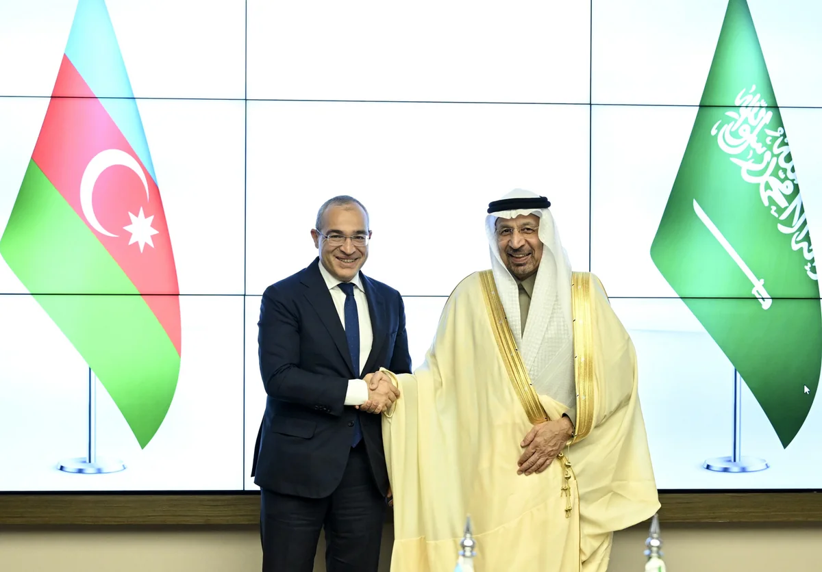 Azərbaycan və Səudiyyə Ərəbistanı investisiyaların təşviqini müzakirə edib