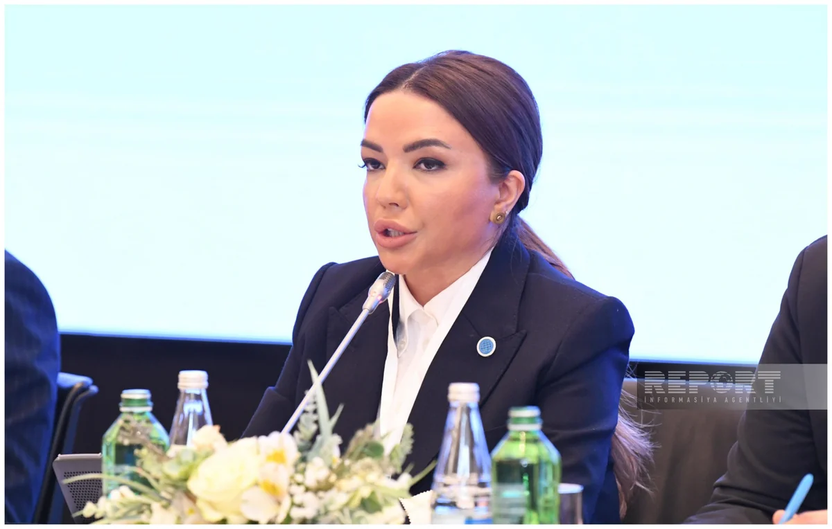 Aygün Əliyeva: Azərbaycan Qlobal Cənub və Qlobal Şimal arasında əlaqələndirici rolunu gücləndirməyə çalışır