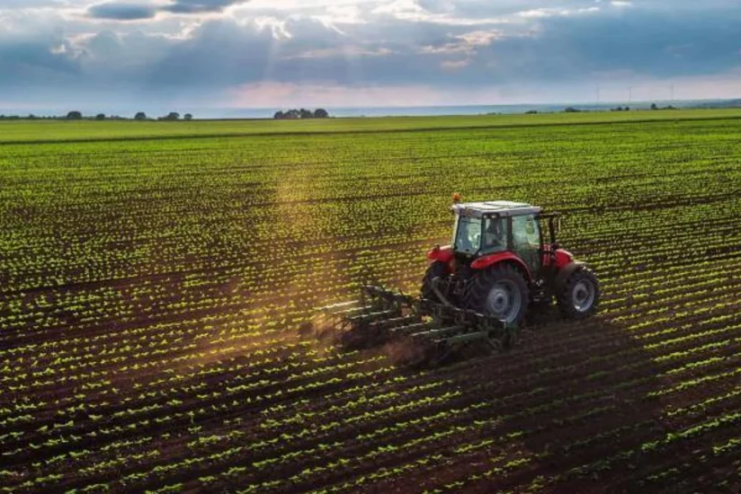 Azərbaycanda fermerlərə subsidiyaların verilməsi asanlaşır