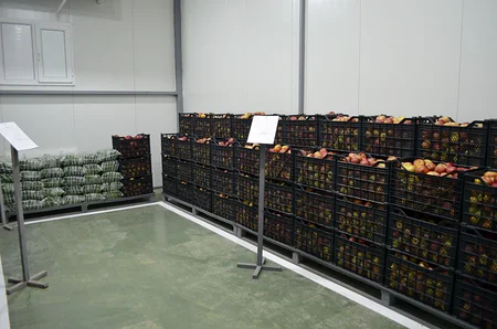 New military facilities commissioned in liberated territories