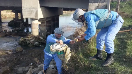 Ağcabədinin Yuxarı Qarabağ su kanalıdan çoxlu sayda patron, əlqumbarası və avtomat darağı tapılıb