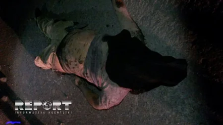 ​Qubada maşın ağaca çırpılıb, 3 nəfər ölüb - YENİLƏNİB - FOTO - VİDEO