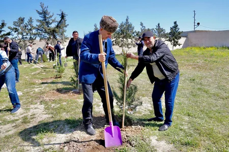 Heydər Əliyevin 100 illik yubileyi ilə bağlı Qala Qoruğunda ağacəkmə aksiyası keçirilib