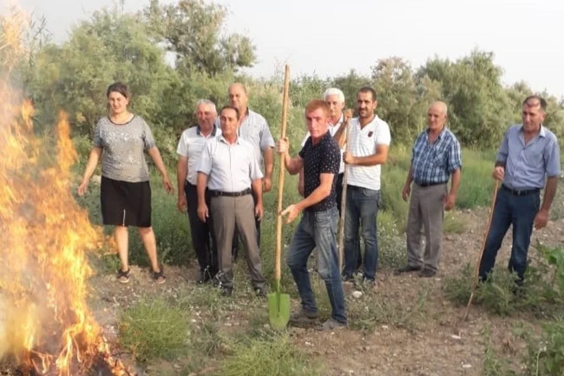 Ağcabədi rayonunda karantin alaq otuna qarşı mübarizə tədbirləri başlayıb