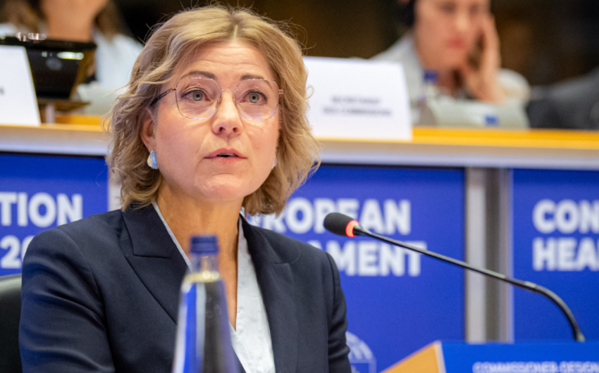 EU could postpone flagship AI rules, tech chief says