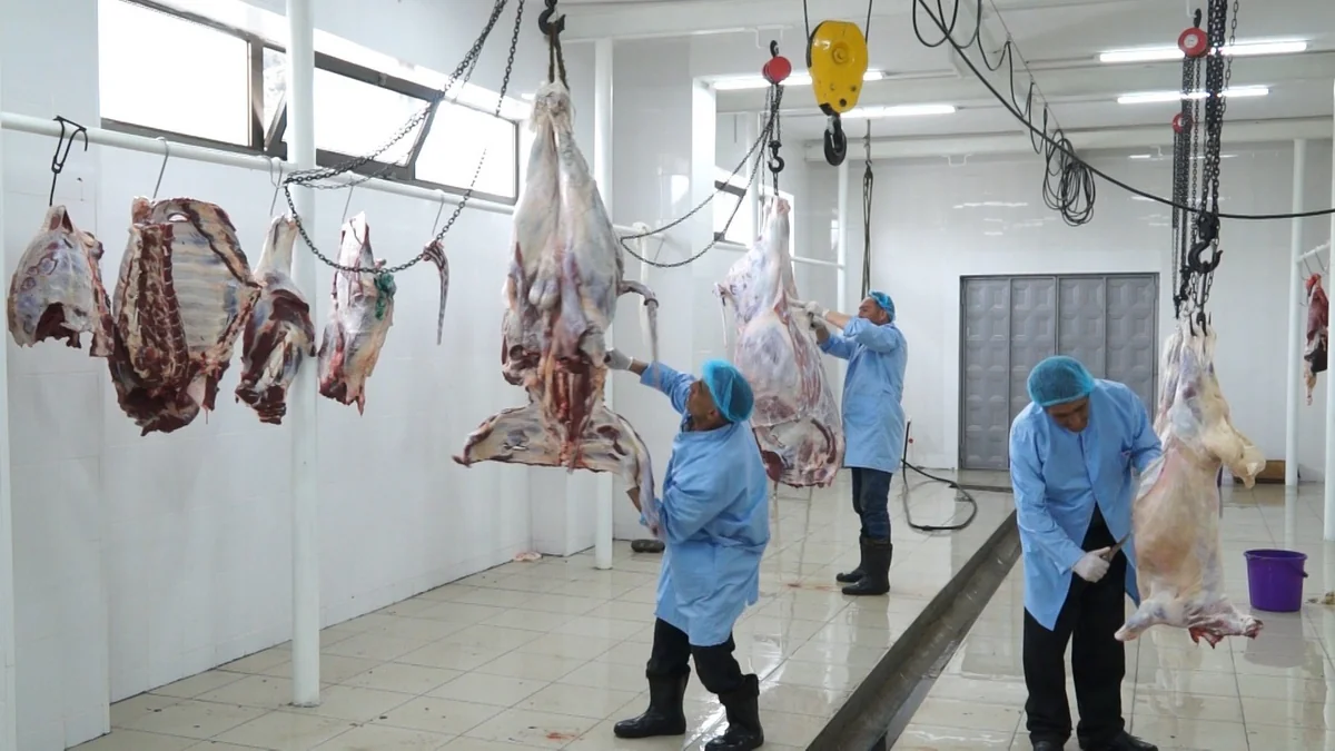 Heyvan kəsimi yerlərində olan qida təhlükəsizliyinə nəzarət məntəqələrinin diaqnostikası aparılacaq