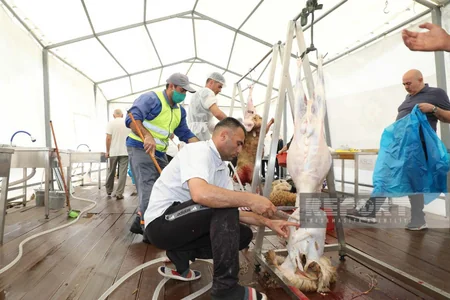 Bakıda Qurban kəsimi - FOTOREPORTAJ