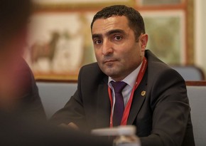 Пашинян может назначить Романоса Петросяна главой Элсети Армении после национализации 