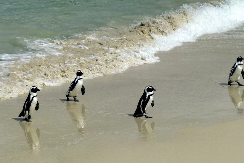 Ученые сообщили о рекордном нагреве океана