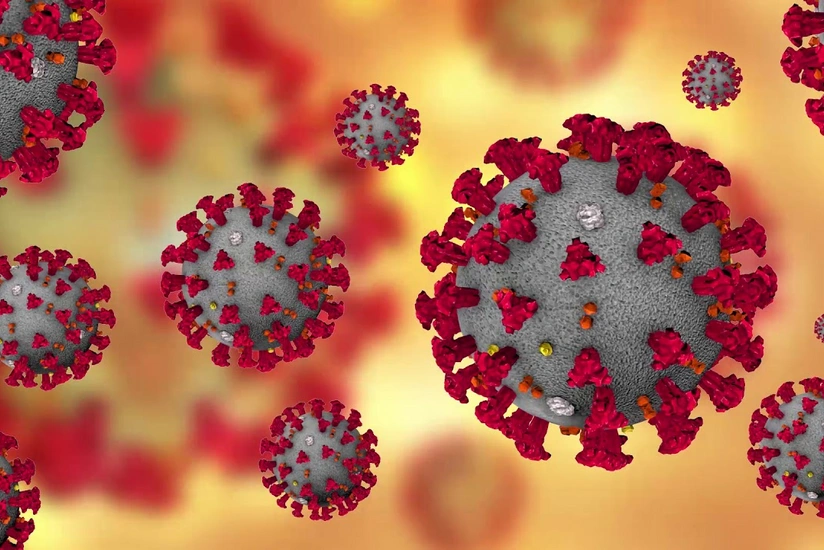 Число заразившихся COVID 19 в мире превысило 323 млн человек