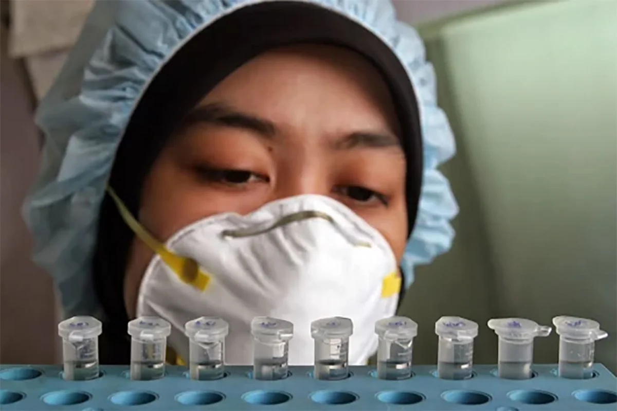 Hər il 650 min insan qriplə bağlı respirator xəstəliklərdən ölür
