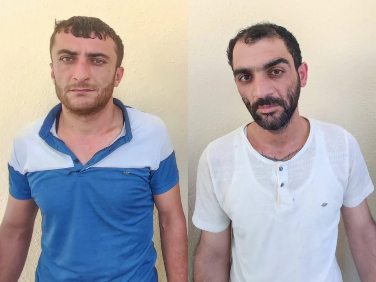 Lerikdə külli miqdarda müxtəlif növ narkotik vasitələr aşkarlanıb