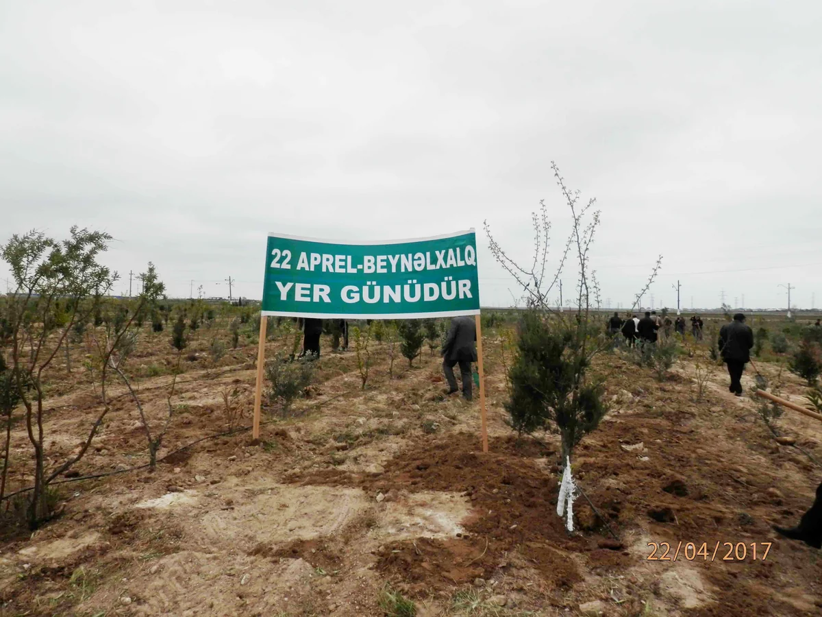 Bakıda Beynəlхalq Yer Günü ilə əlaqədar iməcilik keçirilib