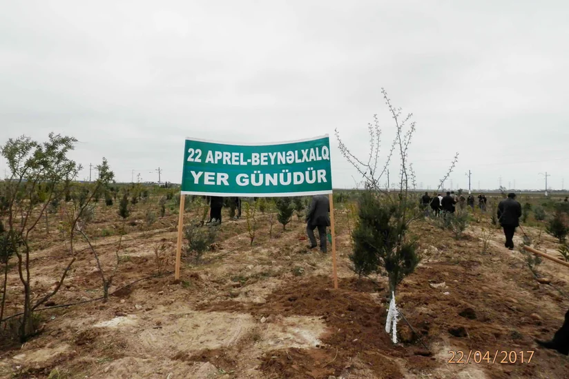 Bakıda Beynəlхalq Yer Günü ilə əlaqədar iməcilik keçirilib