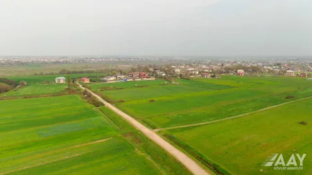 Masallıda 5 yaşayış məntəqəsinin yollarının yenidən qurulmasına başlanılıb