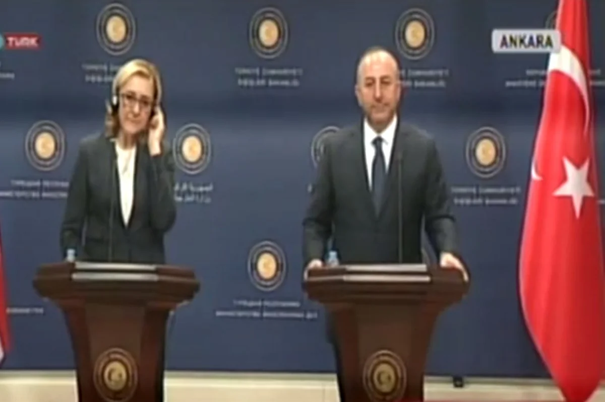 Gürcüstanın xarici işlər naziri Bakı-Tbilisi-Qars layihəsinin vaxtında reallaşmasını vacib hesab edir