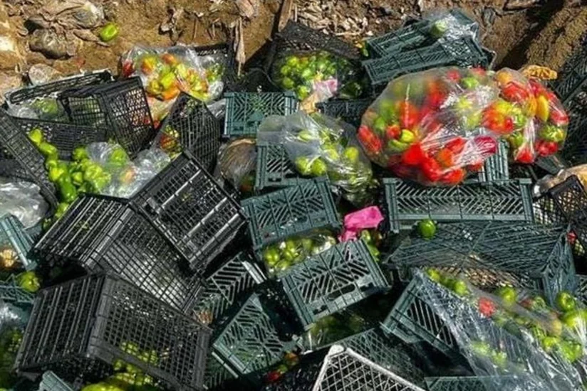 İrandan Azərbaycana gətirilən portağal və bibərdə zərərli orqanizm aşkarlanıb