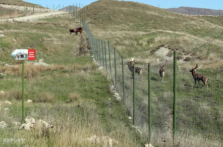 Bir qrup şagirdin Şamaxı Safari Parkına ekskursiyası təşkil olunub - FOTO