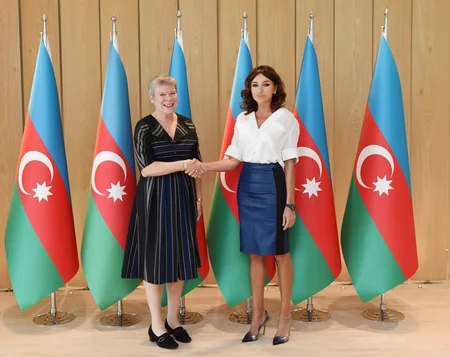 First Vice-President Mehriban Aliyeva meets with delegation led by NATO deputy secretary general