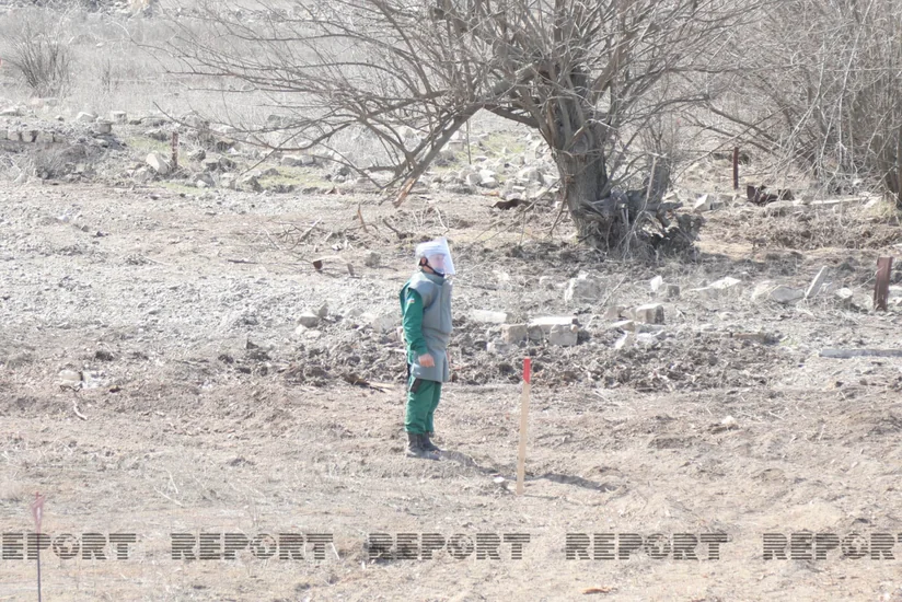 Almaniya Azərbaycanda minatəmizləmə layihələrini dəstəkləməyə hazırdır