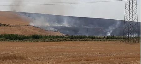 Göyçayın 3 kəndində 100 hektara yaxın otlaq və taxıl sahələri yanır
