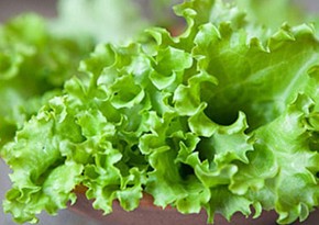 Azerbaijan begins importing lettuce from UAE