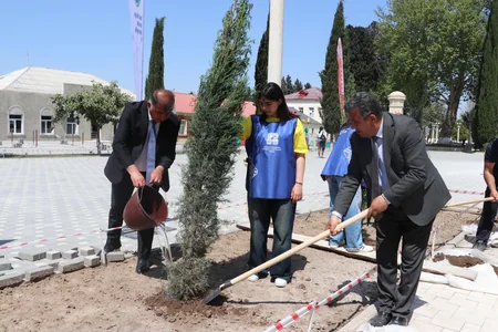 Samuxda ağacəkmə və təmizlik aksiyası keçirilib