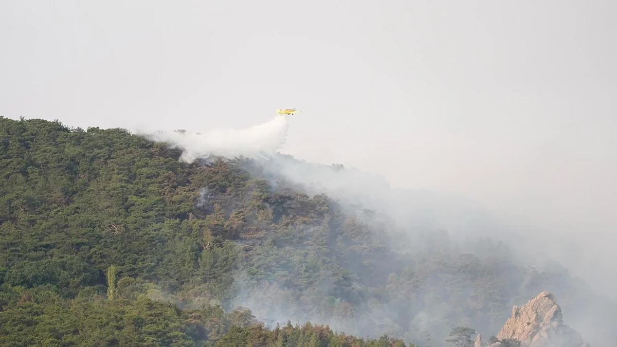 В Турции трое суток продолжается борьба с лесными пожарами