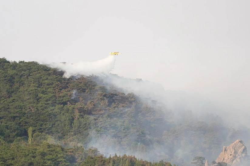 Türkiyədə meşə yanğınlarına qarşı mübarizə üç gündür davam edir