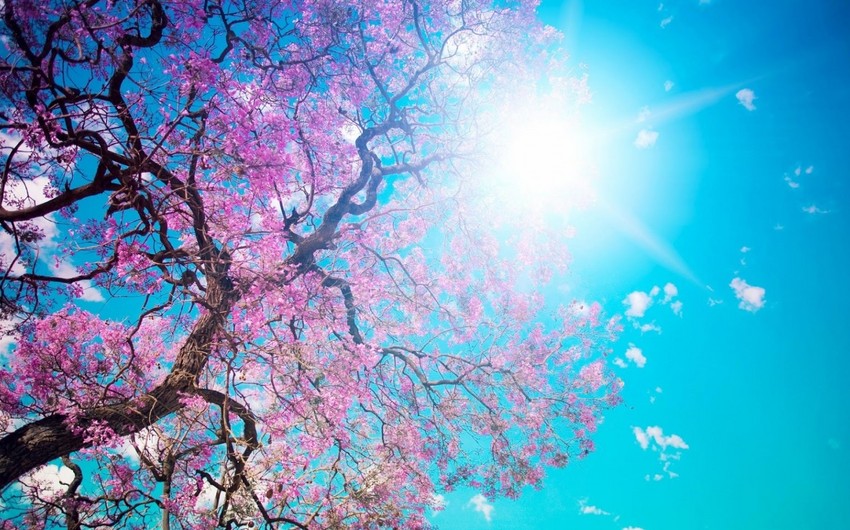 Weather temperature in Azerbaijan to be 39°C tomorrow