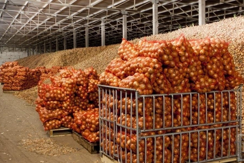 Azərbaycan Rumıniyaya 100 ton soğan ixrac edəcək