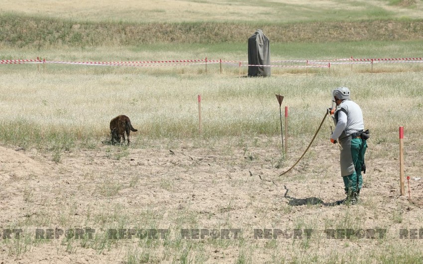 MN: 2023-cü ildə minatəmizləmə işləri plana uyğun olaraq davam etdiriləcək