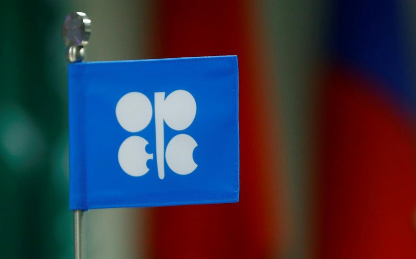 OPEC+ Monitoring Committee supports extending deal for 9 months