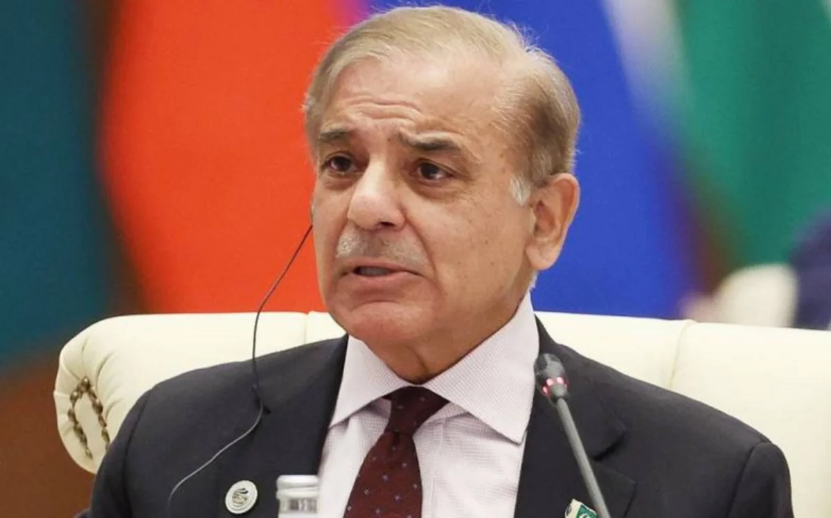 Shehbaz Sharif: Pakistan and Azerbaijan agreed to develop trade and investment in strategic sectors