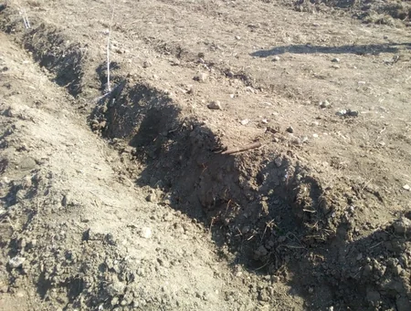 Ağdamda top mərmisi tapılıb