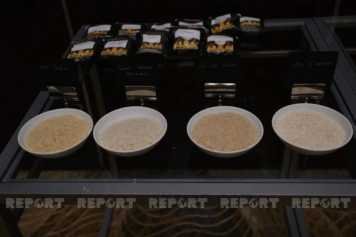 Baku hosts rice festival