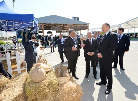Prezident İlham Əliyev Beynəlxalq qida sənayesi və kənd təsərrüfatı sərgiləri ilə tanış olub