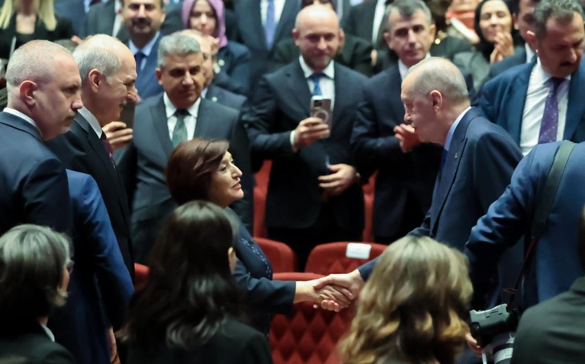 Sahibə Qafarova Rəcəb Tayyib Ərdoğanla görüşüb
