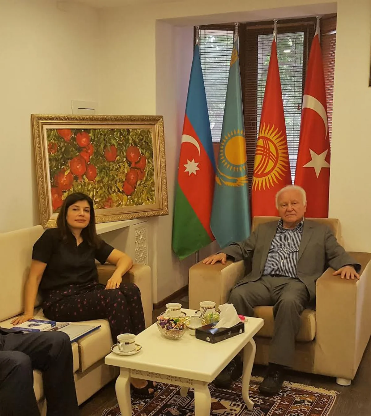 İstanbul Universitetinin professoru Beynəlxalq Türk Mədəniyyəti və İrsi Fondunda olub