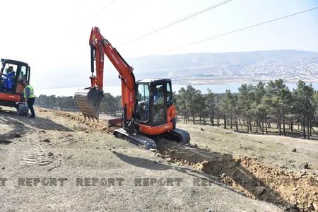 Mürəkkəb relyefli, sərt yamaclı ərazilərdə ağac əkininə başlanılıb