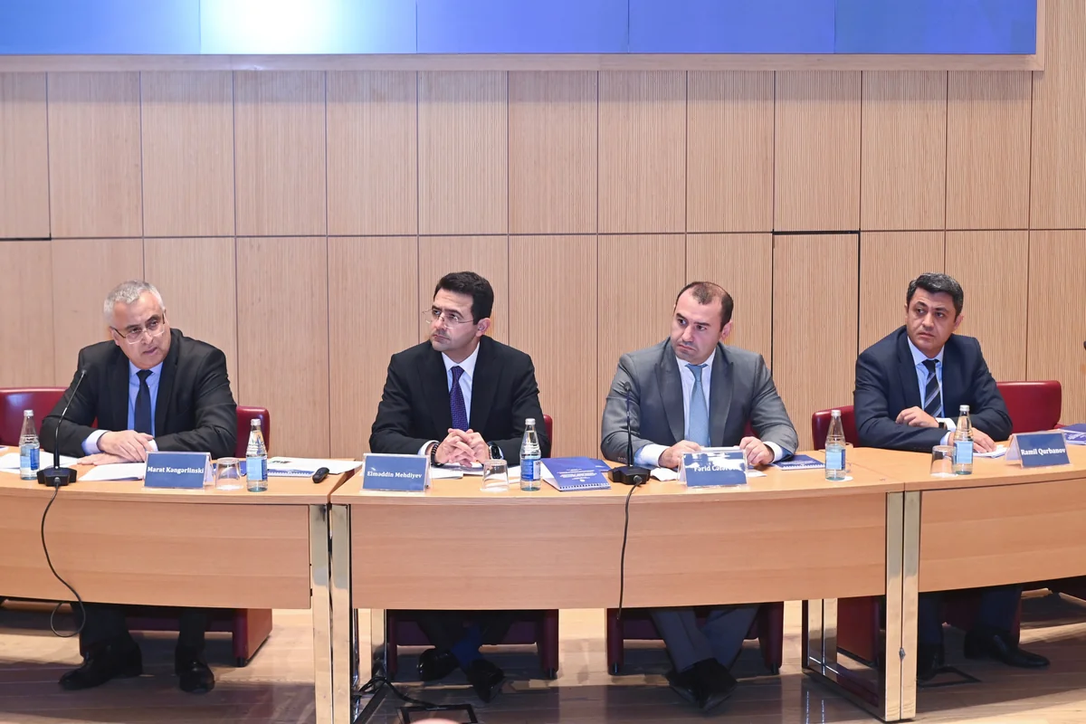 Priorities of Azerbaijan's international development policy discussed