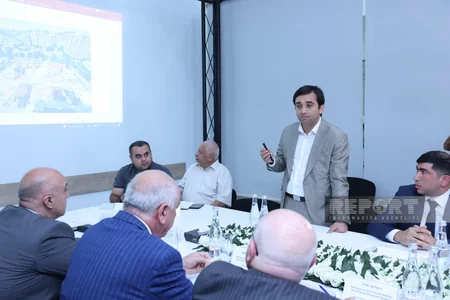Dövlət Ekoloji Ekspertiza Agentliyi Bakıda tikinti zamanı yaşıllıqların məhv edilməsi ilə bağlı dinləmə keçirib