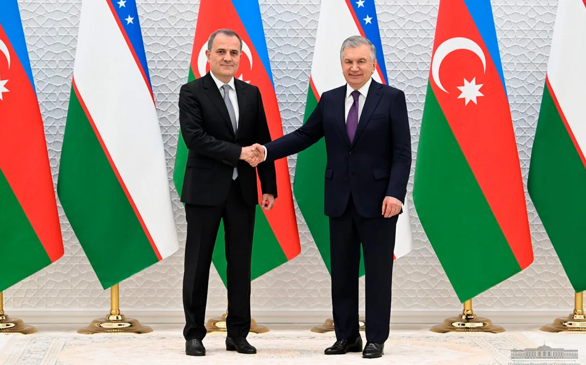 Azerbaijani FM meets Uzbek president