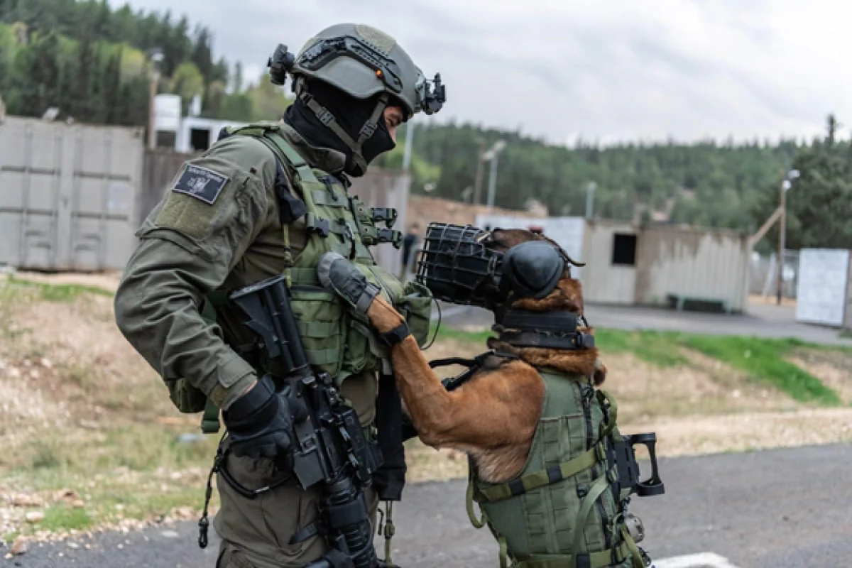 US citizen in occupied West Bank detained over alleged incitement